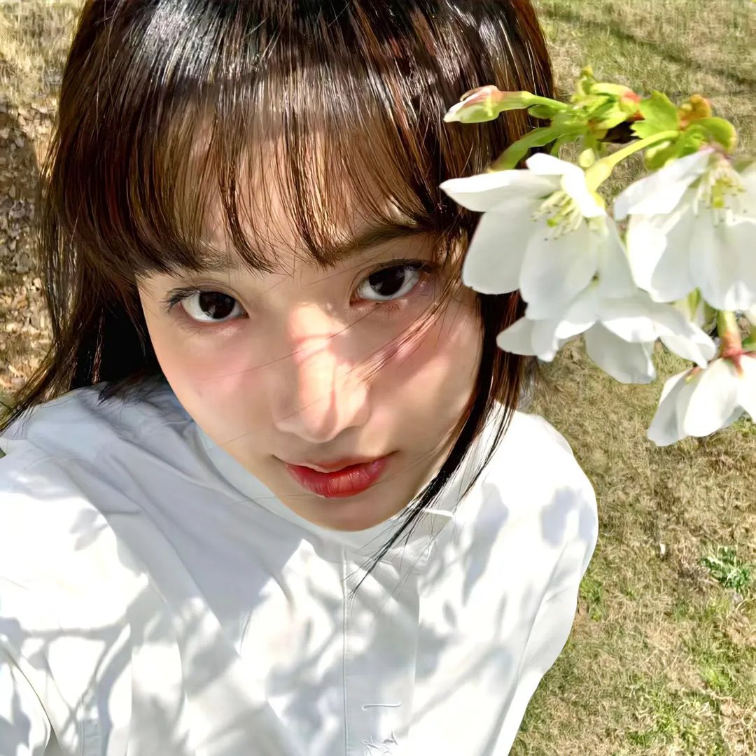 是风动、是心动