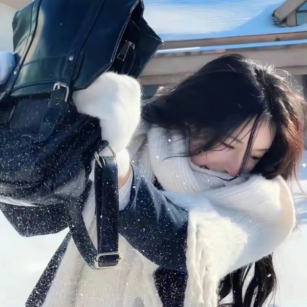 穿越王妃想和离